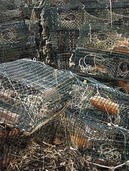 new lobster pots