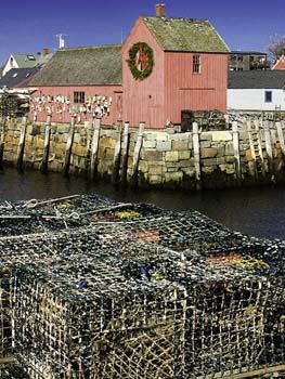 rockport lobster shack